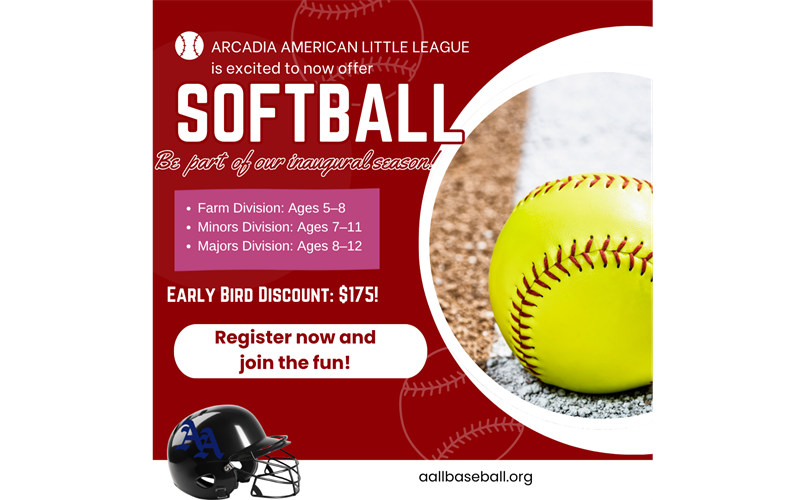 New AALL Softball
