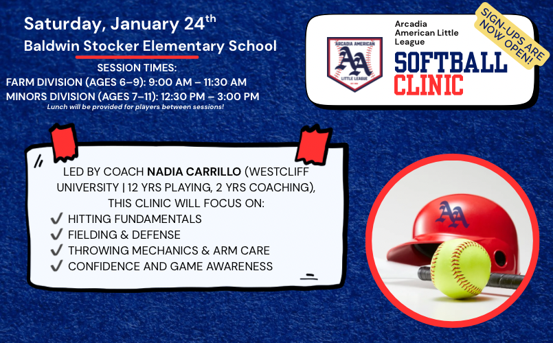 Winter Softball Clinics