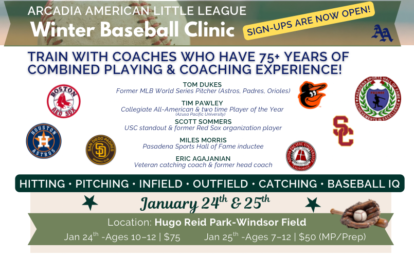 Winter Baseball Clinics